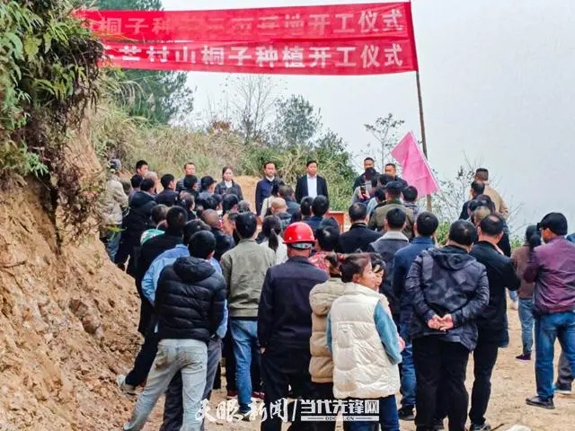 贵定乐芒村1411亩山桐子示范基地正式开工